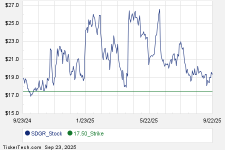 Sdgr Plus Options Trading Insights for the First Week of SDGR in November ...